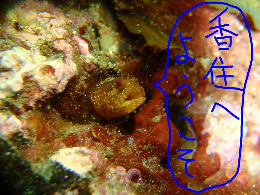 e0115199_20278.jpg