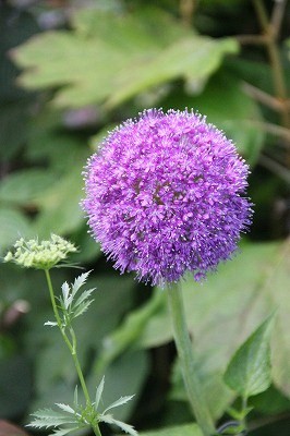 a0123003_22584937.jpg