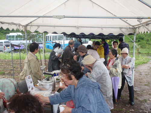 ふるさと田島会、アスパラ収穫無事終了です^^_b0152504_9321570.jpg