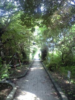 ザワザワする気持ち_a0009005_8533978.jpg