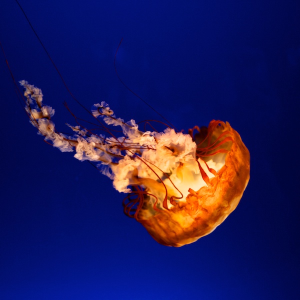 d0119505_238420.jpg