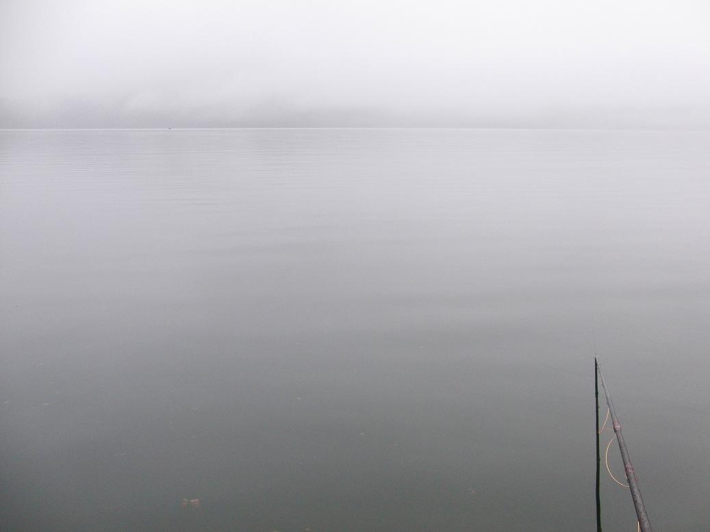 d0126708_3451354.jpg