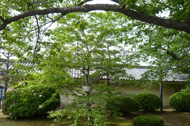 f0221708_1822553.jpg