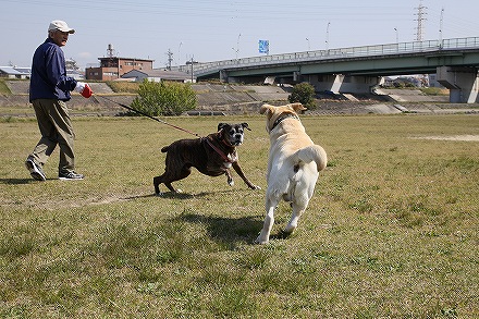 f0191413_10121868.jpg
