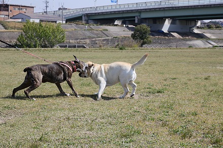 f0191413_10142841.jpg