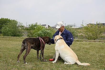 f0191413_1017785.jpg