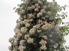 d0083316_1438511.jpg
