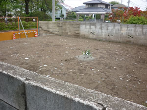 地鎮祭_f0140817_1317927.jpg