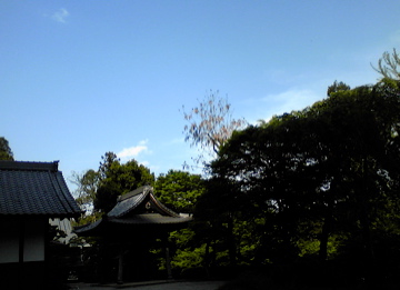 大鷲院というお寺を訪れました ♪_a0152724_22194447.jpg