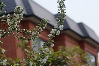 f0170524_19182589.jpg