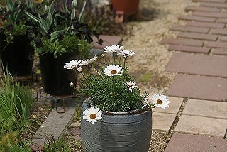f0170524_19271356.jpg