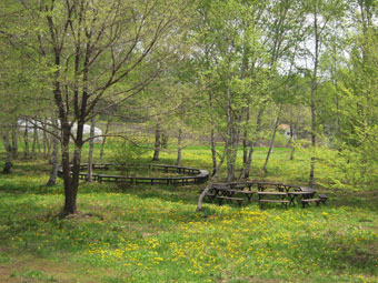 f0086827_0493626.jpg