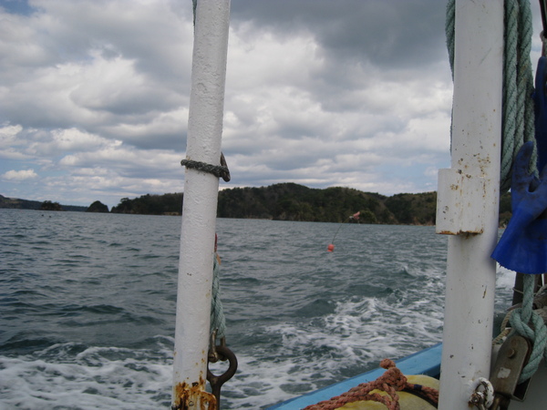 b0219534_1323484.jpg