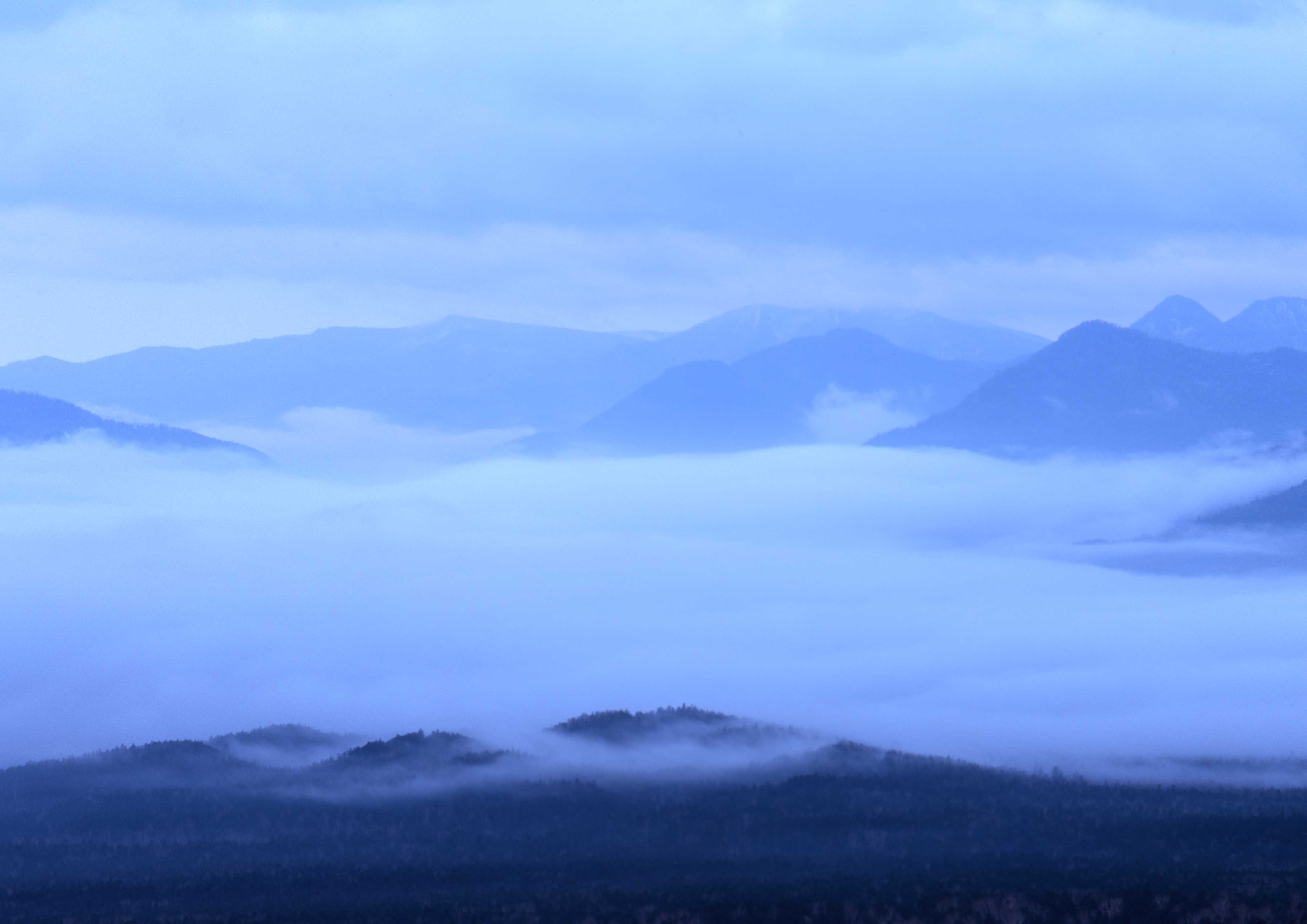 北海道　朝の霧　by ASTIA100F_f0050534_112695.jpg