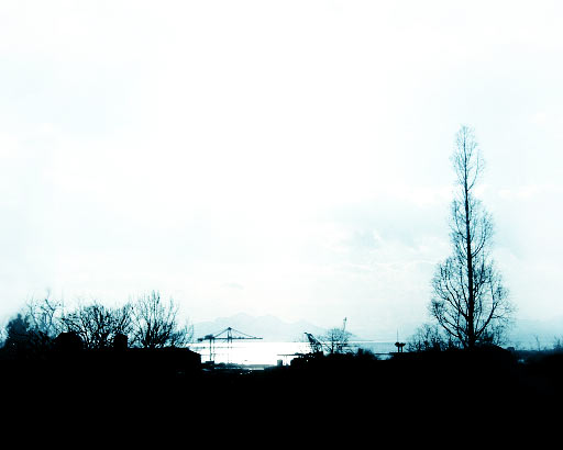 d0060537_241452.jpg
