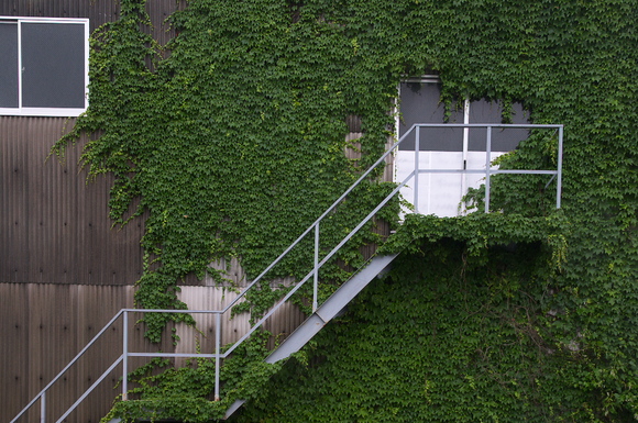 d0138737_11455681.jpg