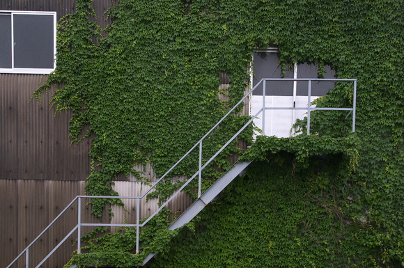 雨が降ります雨が降る_d0138737_11455681.jpg