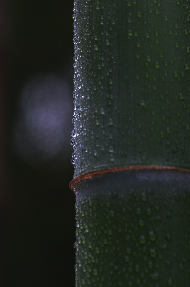 d0138737_17462141.jpg