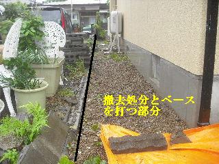 震災被害_f0031037_2181589.jpg