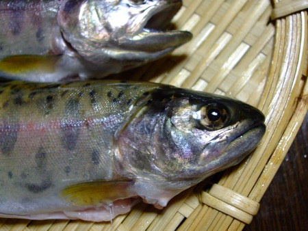 c0202242_782162.jpg