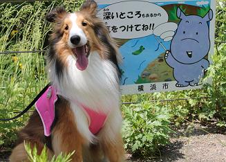 お引越し準備♪_e0195743_20385934.jpg
