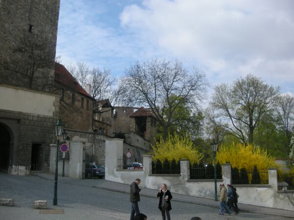 e0043548_214582.jpg