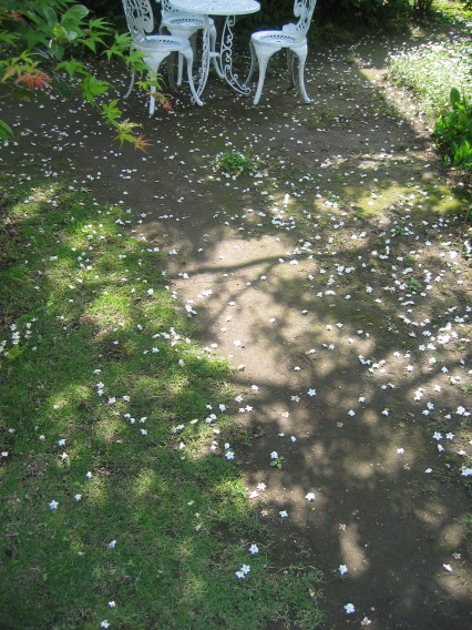 b0072051_13495.jpg