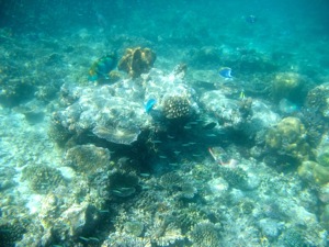 f0190653_1054213.jpg