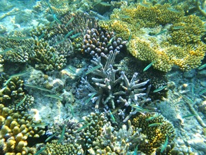 f0190653_11543782.jpg