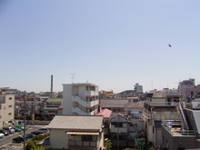 d0204154_11565634.jpg