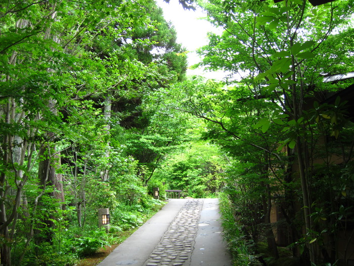 2011春旅☆九州　～黒川温泉　お宿　野の花　その１～_e0232054_22382212.jpg