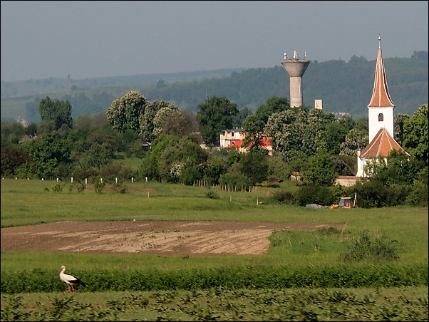 f0140054_91145.jpg