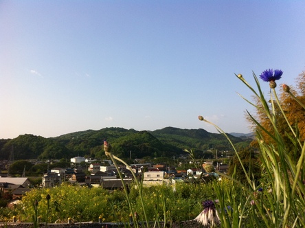 d0061968_21294628.jpg