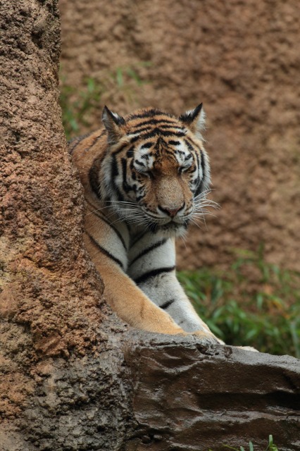 a0188771_7204317.jpg