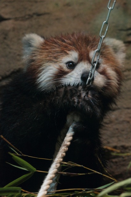 a0188771_73256.jpg