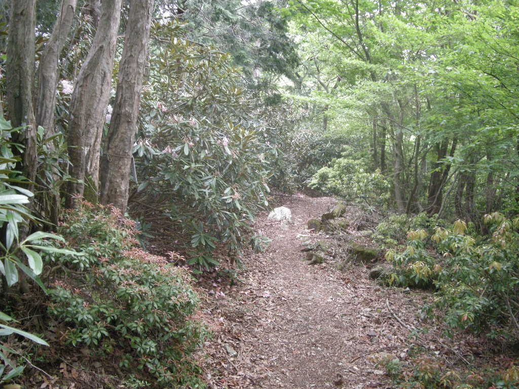 b0185573_45847.jpg