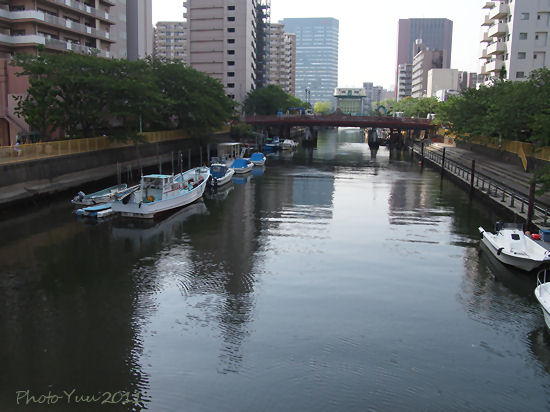 b0078874_92573.jpg