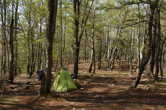 2011年5月24～25日　瑞牆山・鷹見岩　単独テント泊ハイキング　二日目_f0238475_11114723.jpg