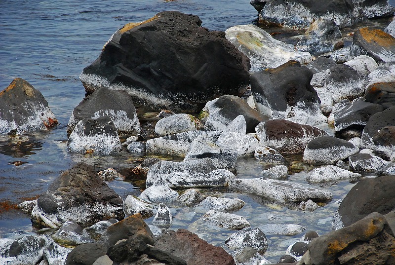 穏かな日本海は・・・・_f0121379_18372942.jpg