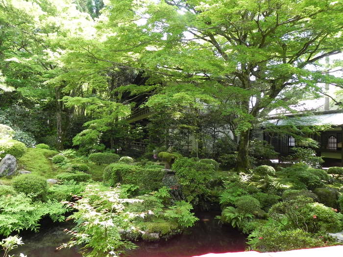 京都 大原三千院など_c0187781_15162930.jpg
