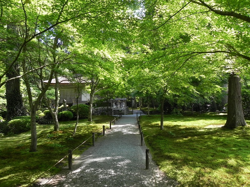 京都 大原三千院など_c0187781_1538344.jpg