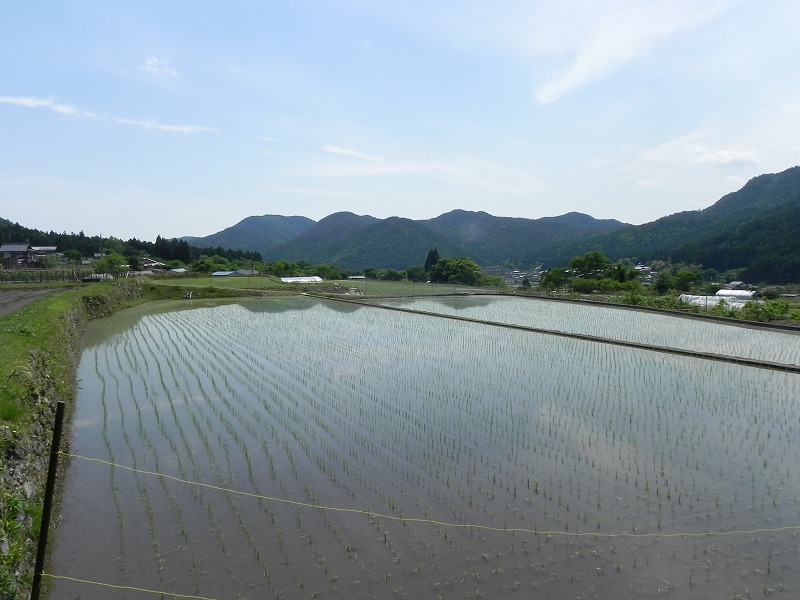 京都 大原三千院など_c0187781_159640.jpg