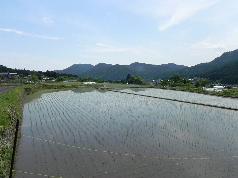 京都　大原三千院など_c0187781_159640.jpg