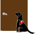 b0136683_20395177.gif