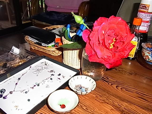 b0206784_8431192.jpg