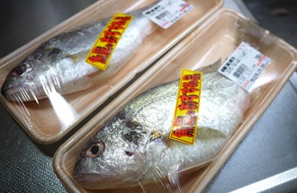 白愚痴 シログチ イシモチ 魚食の日々 Web Sakagawa Ikuko