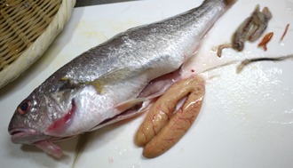 白愚痴 シログチ イシモチ 魚食の日々 Web Sakagawa Ikuko