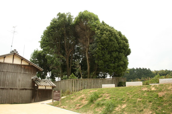 b0118987_7253040.jpg
