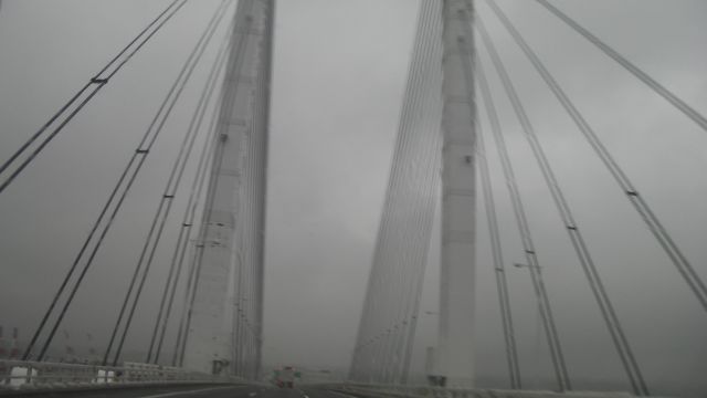 a0133388_9144236.jpg