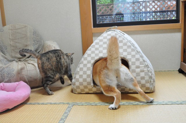7年の時を経て_a0126590_23101378.jpg